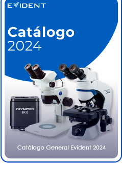 Catálogo General Evident 2024